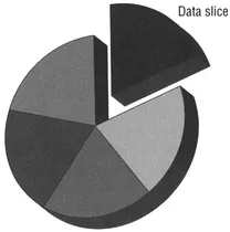 Figure 1.1 Empirical reality composed of various data slices