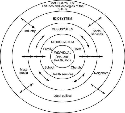 FIGURE 1.1