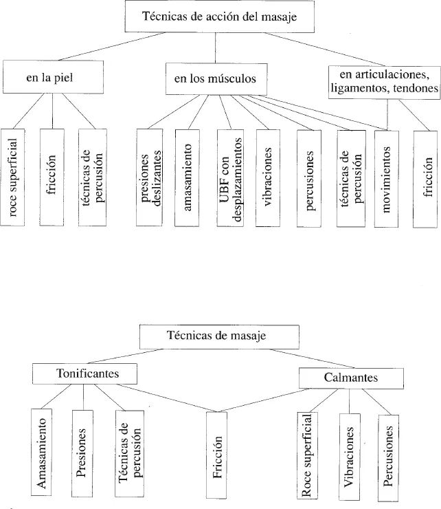 Masaje deportivo anatolik andreewicz biriukov online pdf