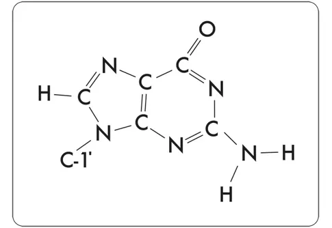 fig24.webp