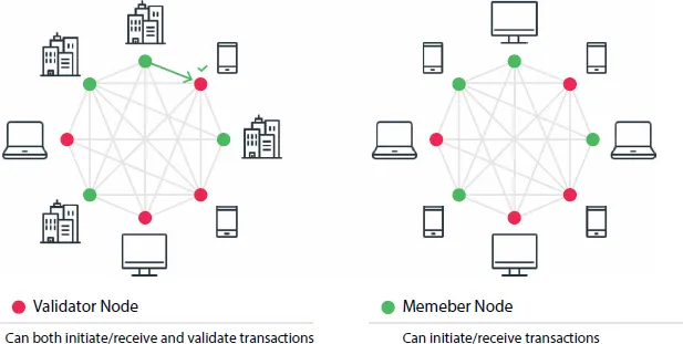 Schematic illustration of the types of blockchain architecture with validator node and member node.
