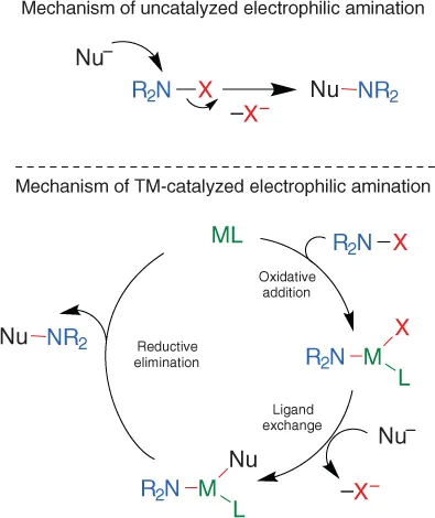 Schematic illustration of the mechanisms of two main types of electrophilic amination.