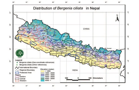 Figure 10.2. Distribution of B. ciliata in Nepal (Source: www.eson.org.np).