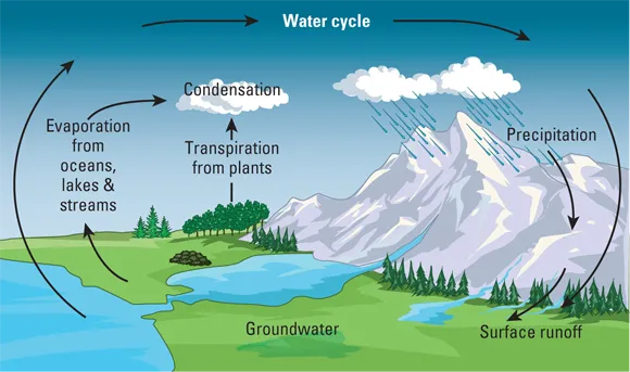 Schematic illustration of the hydrologic (water) cycle.