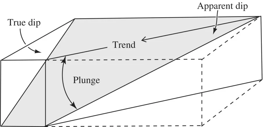 Schematic illustration of the trend and plunge of an apparent dip.