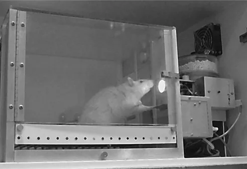 Figure 1.1 An experimental chamber in which a rat can receive food pellets by pressing a lever.