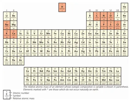 Figure 1.2 Periodic table of elements. Ninety-nine percent of the human body is composed of those highlighted in orange.