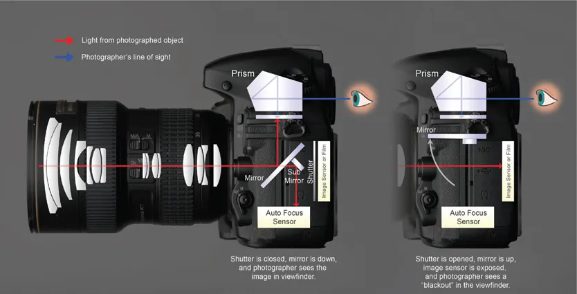 ILLUSTRATION 1.1 The simplified structure of an SLR camera.