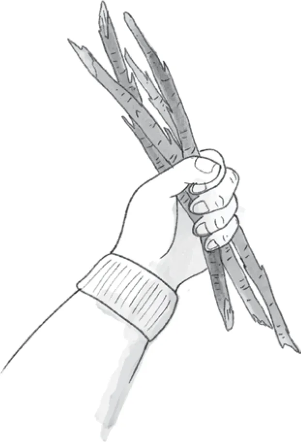 Schematic illustration of the hand holding the sticks.