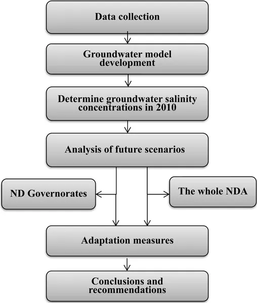 Figure 1.2. Flow chart of the methodological steps
