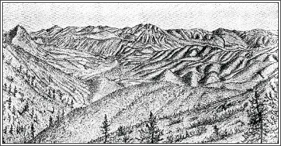 Illustration of rolling hills with barely any brush, just sparse trees.