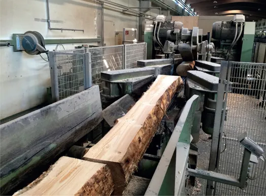 FIG 1.2 Harvesting is heavily mechanised with trunks stripped and cut to length before being transported to a mill as ‘roundwood’.