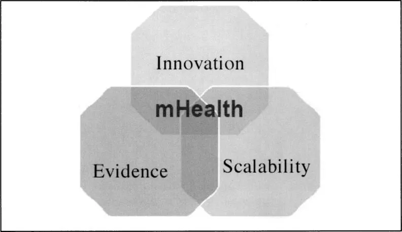 Fig. 1-2: Components of an mHealth Ecosystem.