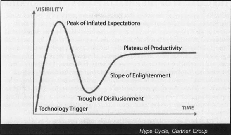 Fig. 1-5: Hype Cycle of New Information Technologies.