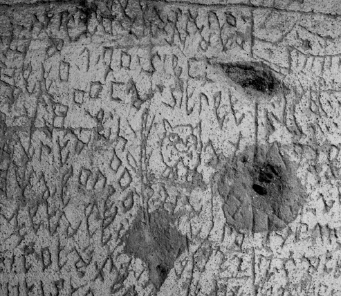 Figura 6.1. Particolare del muro di Volterra inciso da Nannetti.