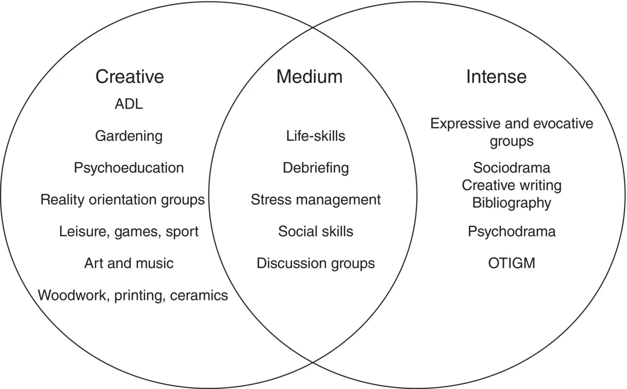 Venn diagram depicts the emotional categories of occupational group therapy.