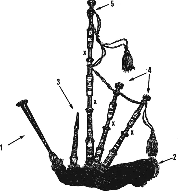 Figure 1 The Scottish Highland bagpipe