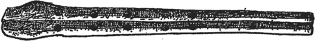 Figure 4 Anoient Egyptian parallel pipes fastened together with wax. The reeds, which would almost certainly have been single reeds, axe missing (drawing from a specimen in Cairo Museum)