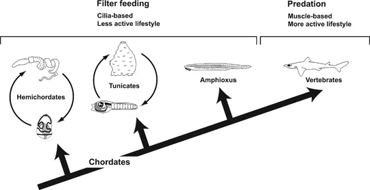 Figure 1.3