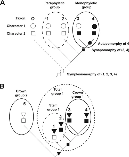 Figure 1.5