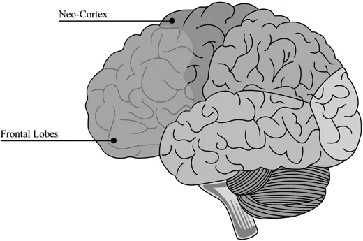 FIGURE 1.1