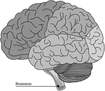 FIGURE 1.2