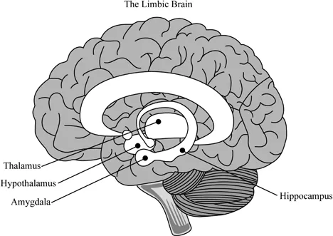 FIGURE 1.3