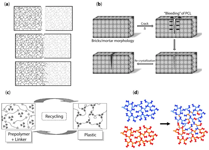 Schematic illustration of intrinsic healing mechanisms for thermosetting polymers. (a) Homogeneous mixtures of thermosetting and thermoplastic polymers. (b) Heterogeneous mixtures of thermosetting and thermoplastic polymers. (c) Polymeric networks based on reversible covalent bonds. (d) Polymeric networks based on dynamic covalent bonds. 