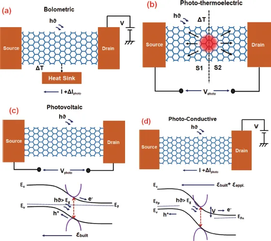 Each Figures represent a general 2D material with two contacts under electromagnetic illuminations. For sub-figures (a) and (d), the radiation alters the carrier mobility and carrier concentrations through bolometric and photo-conductive effect, respectively. For an applied potential difference between the contacts, such change in mobility/concentration alters the currents flowing between the contacts. Finally, for sub-figures (b) and (d), the radiation induces temperature difference and increases carrier concentrations that are spatially separated by the built-in electric field, respectively. Both of these phenomenon generate electric potential between the open circuited contacts.
