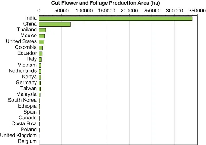 A horizontal bar graph of the Cut flower and foliage production area in hectares for the top 22 countries.