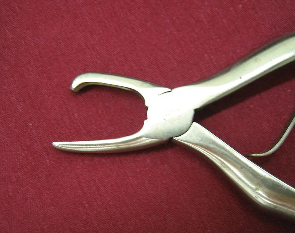 Photo depicts calculus forceps.
