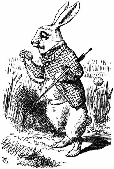 The Rabbit actually took a watch out of its waistcoat-pocket