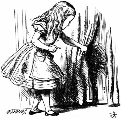 And behind the curtain it was a little door