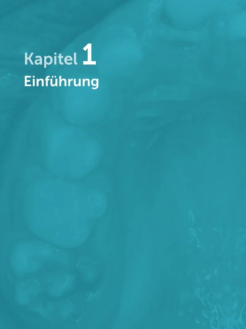 Kapitel 1 : Einführung