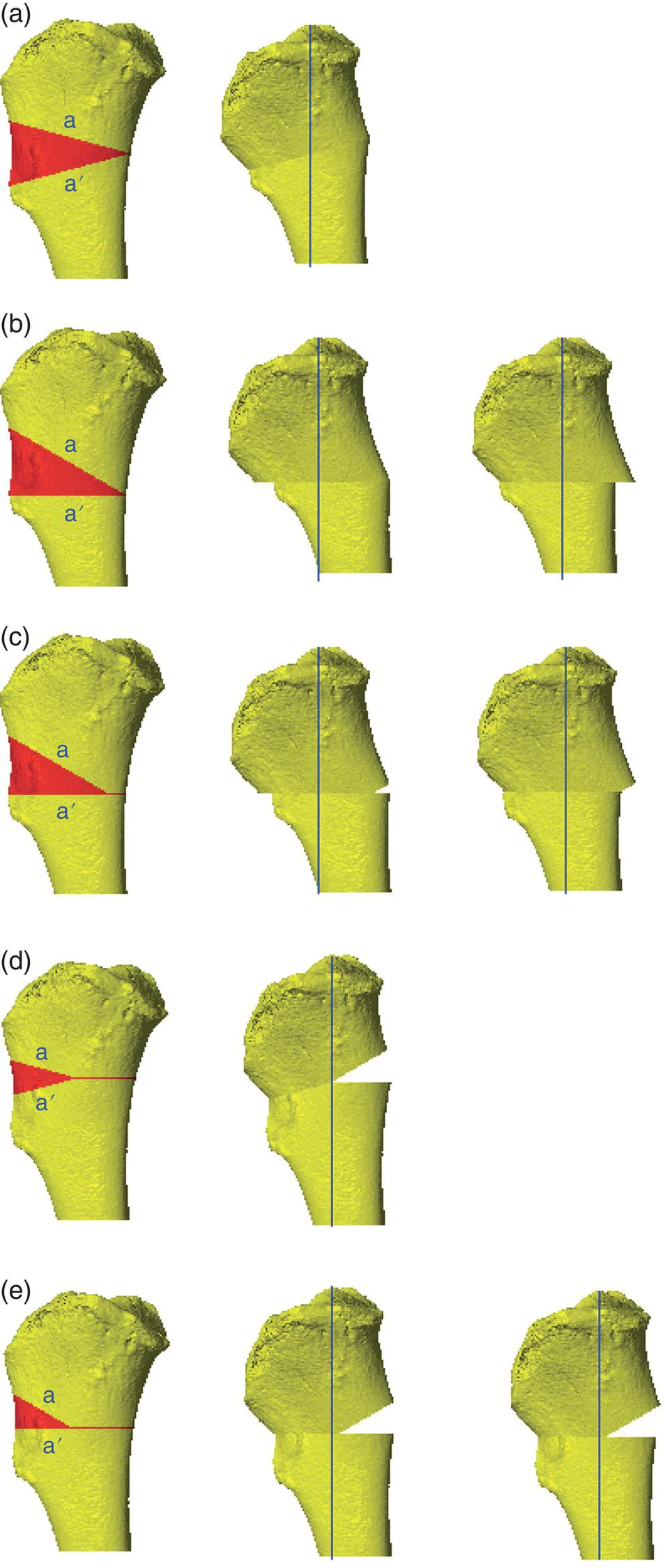 Images described by caption.