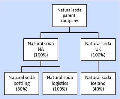 Example Consolidation Entity Structure