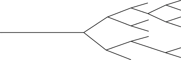 Figure 1.1 A Garden of Forking Paths