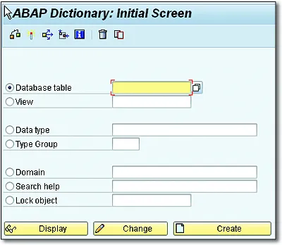 Output of the Function Module Call When Transaction SE11 Is Called