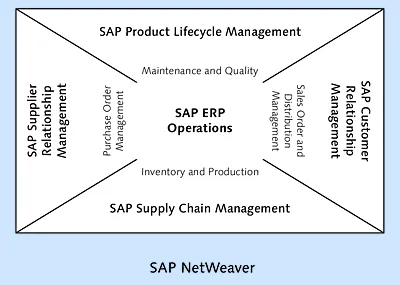 Figure 1.1 SAP Business Suite