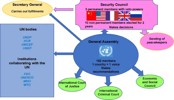 Schematic illustration of the United Nations organization.