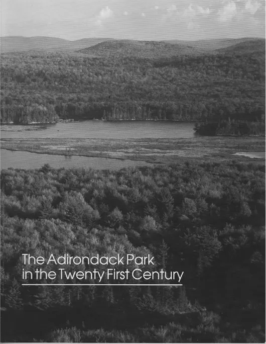 Figure 1.1. Cover of the Commission Report. Source: author, public domain.