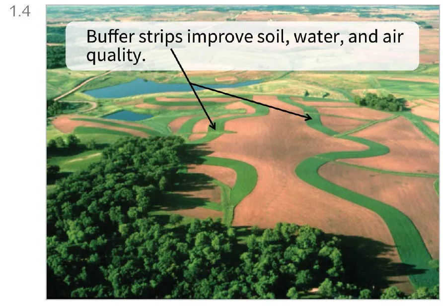 Figure 1.4 Makeover of Figure 1.3. Title is “Buffer strips improve soil, water, and air quality.” The body of the slide consists of a photograph of buffer strips of green grass separating hilly agricultural cropland. Arrows point to the buffer strips to differentiate them from the crops.