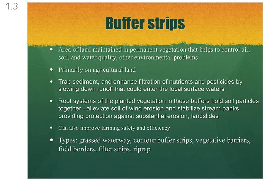 Figure 1.3 Traditional topic-subtopic slide design titled “Buffer strips” with six bullet points’ worth of information in two typefaces against a stylized background that denotes green grass and a setting sun.