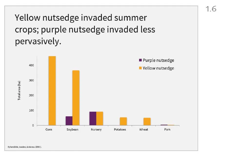 Figure 1.6 Makeover of Figure 1.5. Title is “Yellow nutsedge invaded summer crops; purple nutsedge invaded less pervasively.” The body of the slide is a clustered column chart visualizing the information from the original data table, where yellow nutsedge invaded all of corn, soybean, nursery, potato, wheat, and park vegetation, while purple nutsedge invaded mostly soybeans and nursery vegetation.