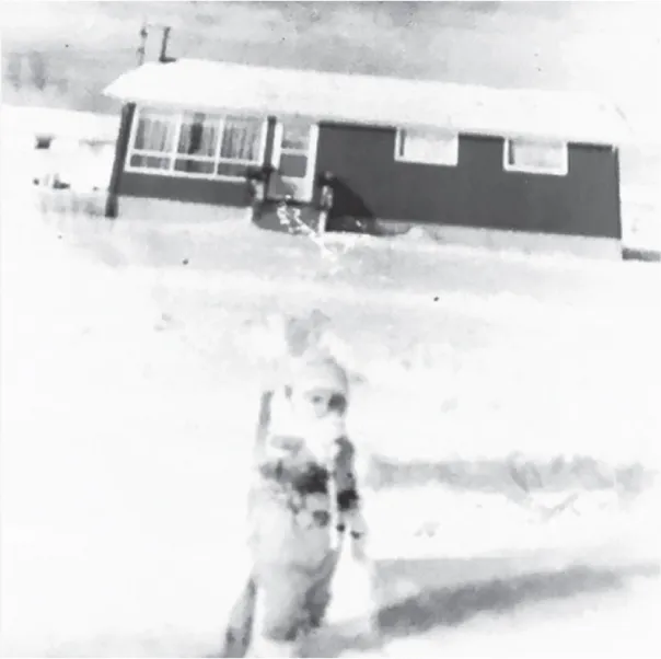 Photograph as described in caption