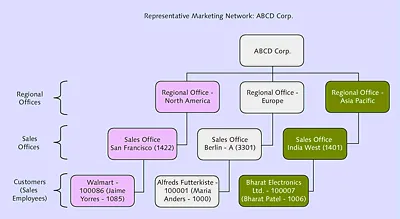 Overview of ABCD Corp. Marketing NetworkMarketing network hierarchy
