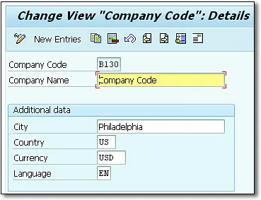 Creating Company Code Data and Maintaining Address Data