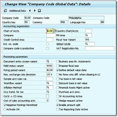 Maintaining Global Data in the Company Code