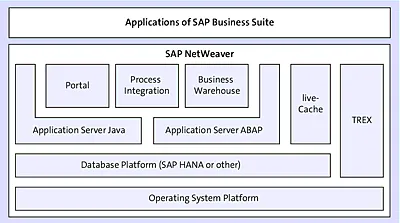 The Traditional SAP Technology Platform