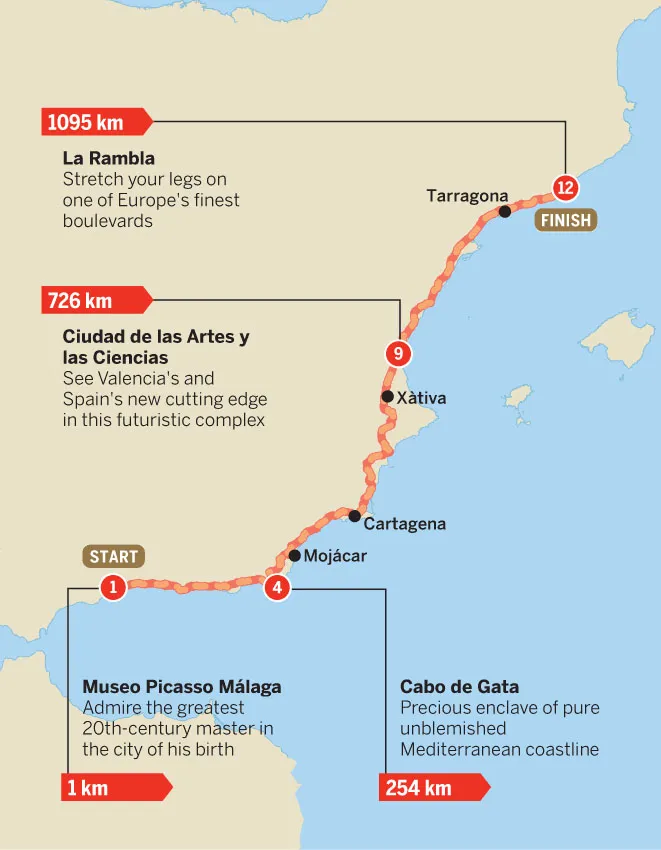 10-mediterranean-high-tr-spp1